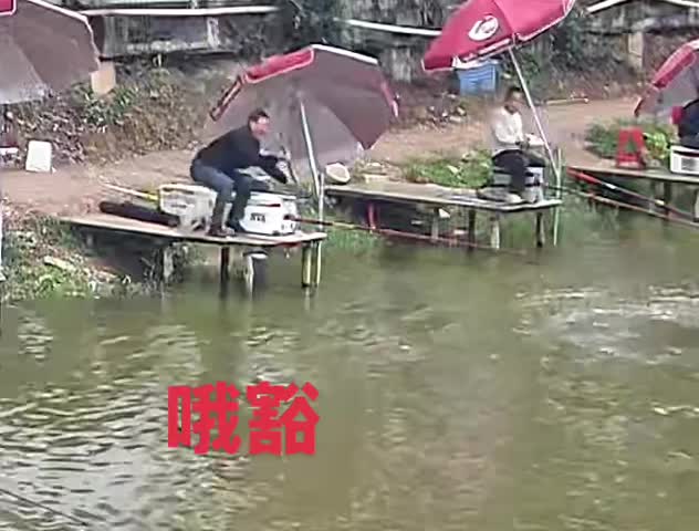 这钓鱼做到了，誓死不丢杆
