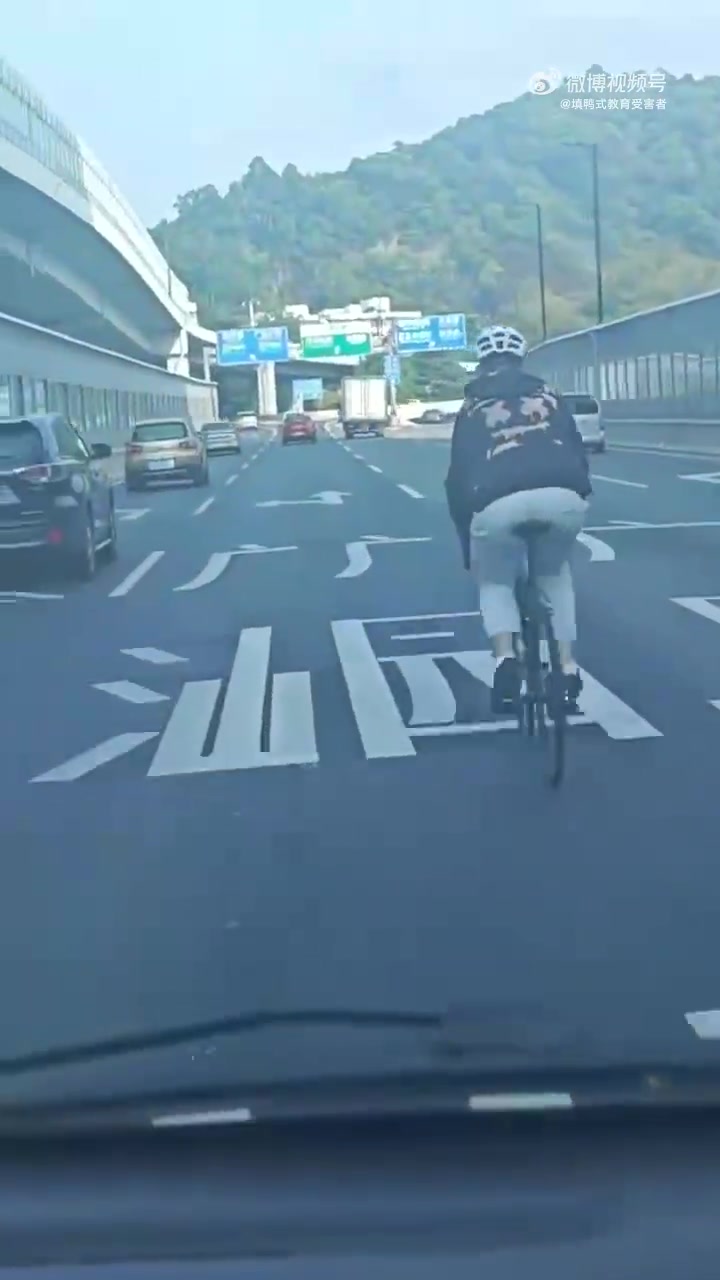 这车咋还骑到高架中间来了