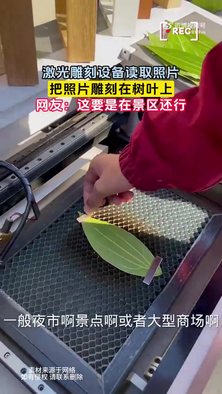 激光雕刻设备读取照片，把照片雕刻在树叶上