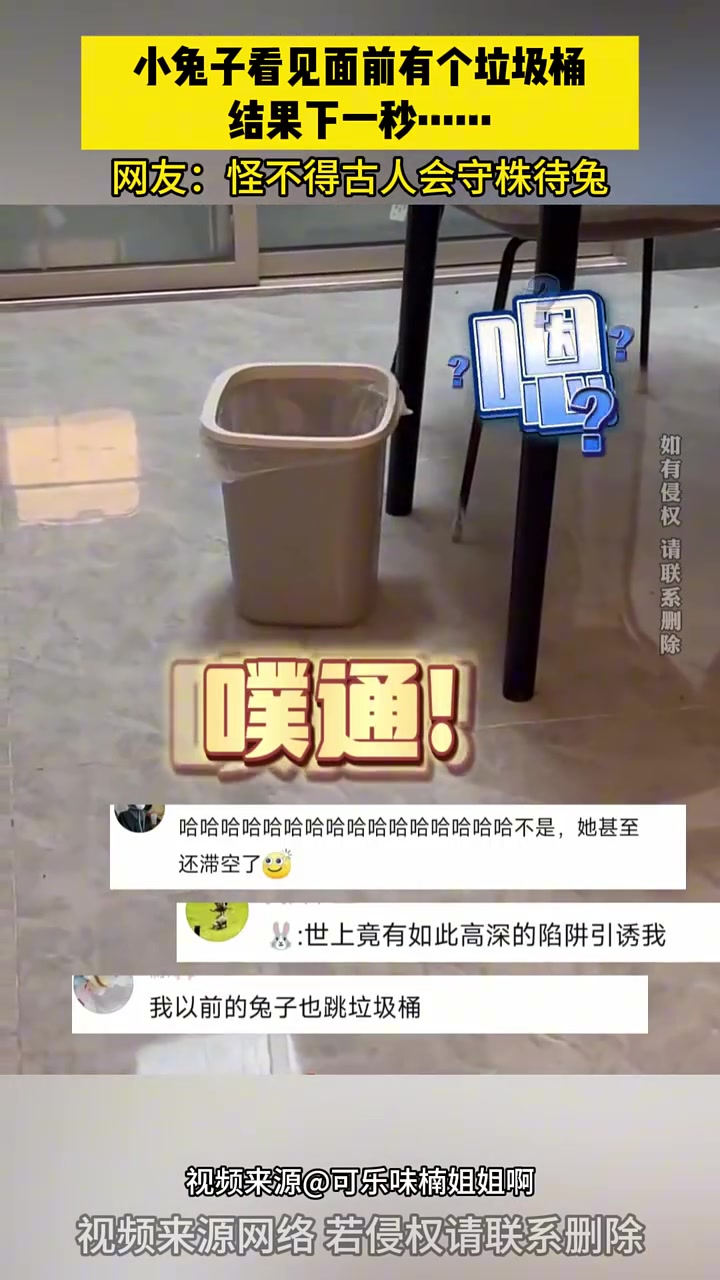 小兔子看见面前有个垃圾桶，结果下一秒