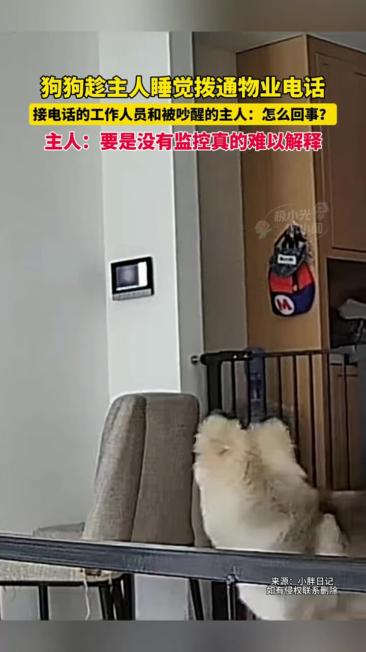 狗狗趁主人睡觉拨通物业电话
