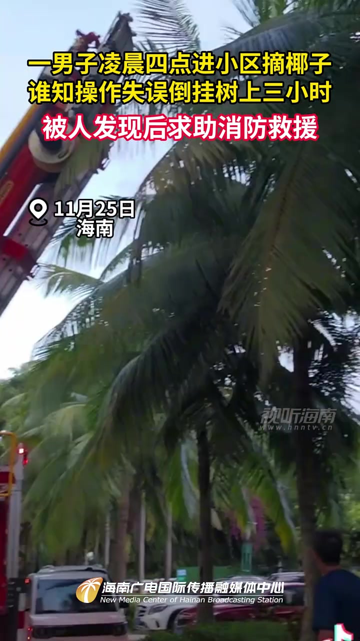 一男子凌晨四点进小区摘椰子谁知操作失误倒挂树上三小时