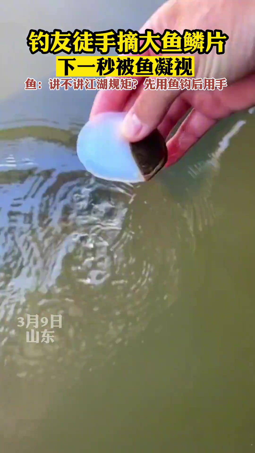 鱼：讨厌人类没有边界感！