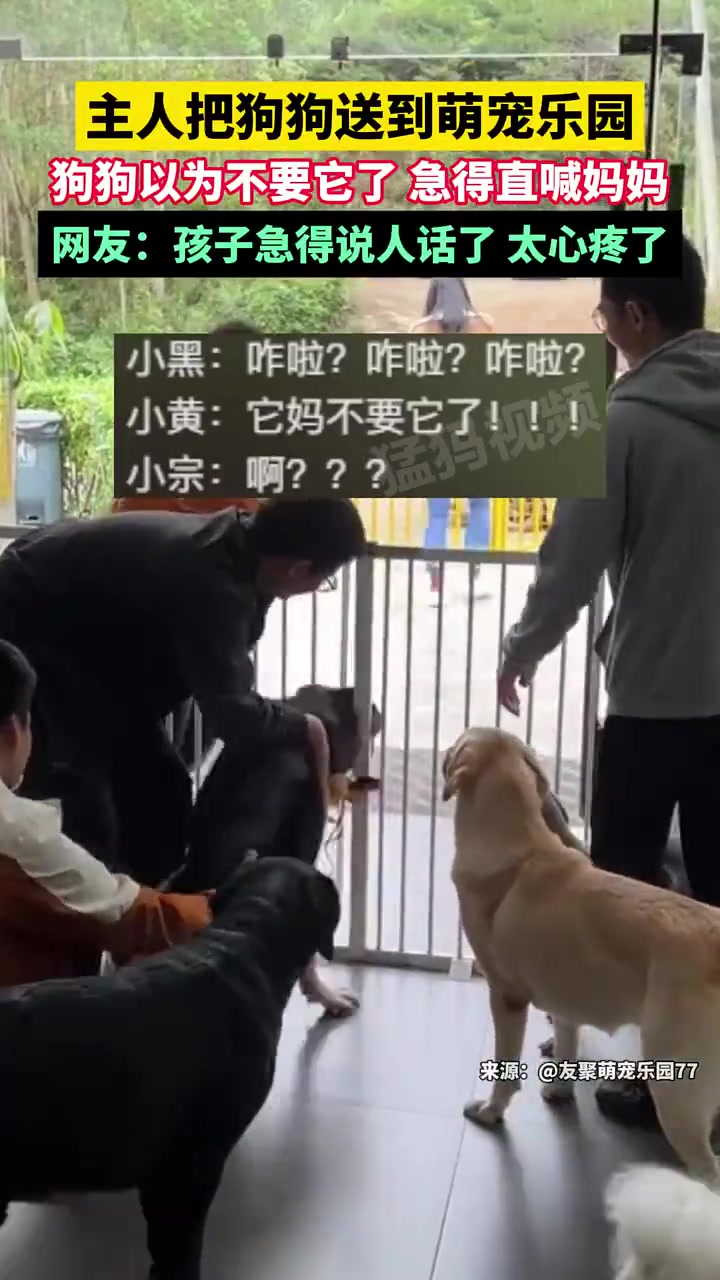 主人送狗狗去萌宠乐园，狗狗误认被抛弃急叫妈妈，网友直呼心疼