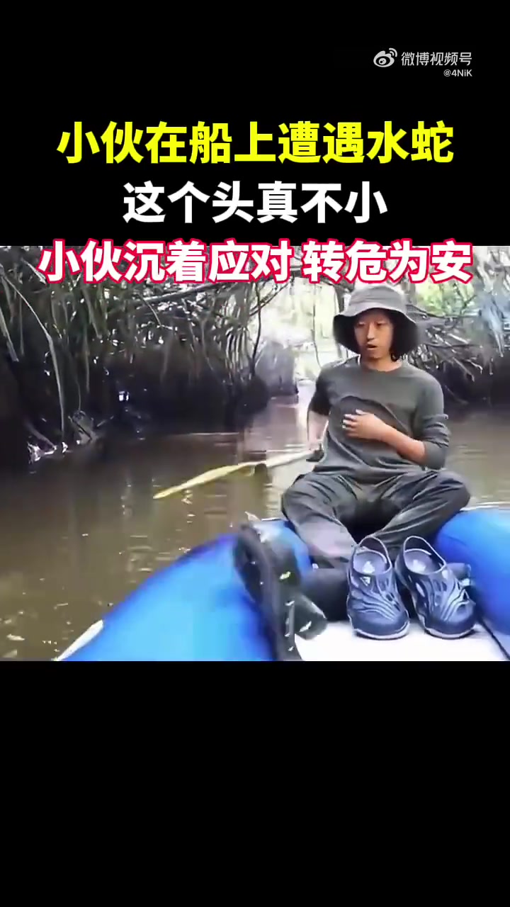 小伙船上遇大蛇，沉着应对，终化险为夷