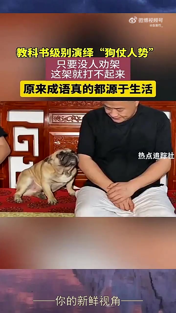 教科书级别演绎“狗仗人势”！