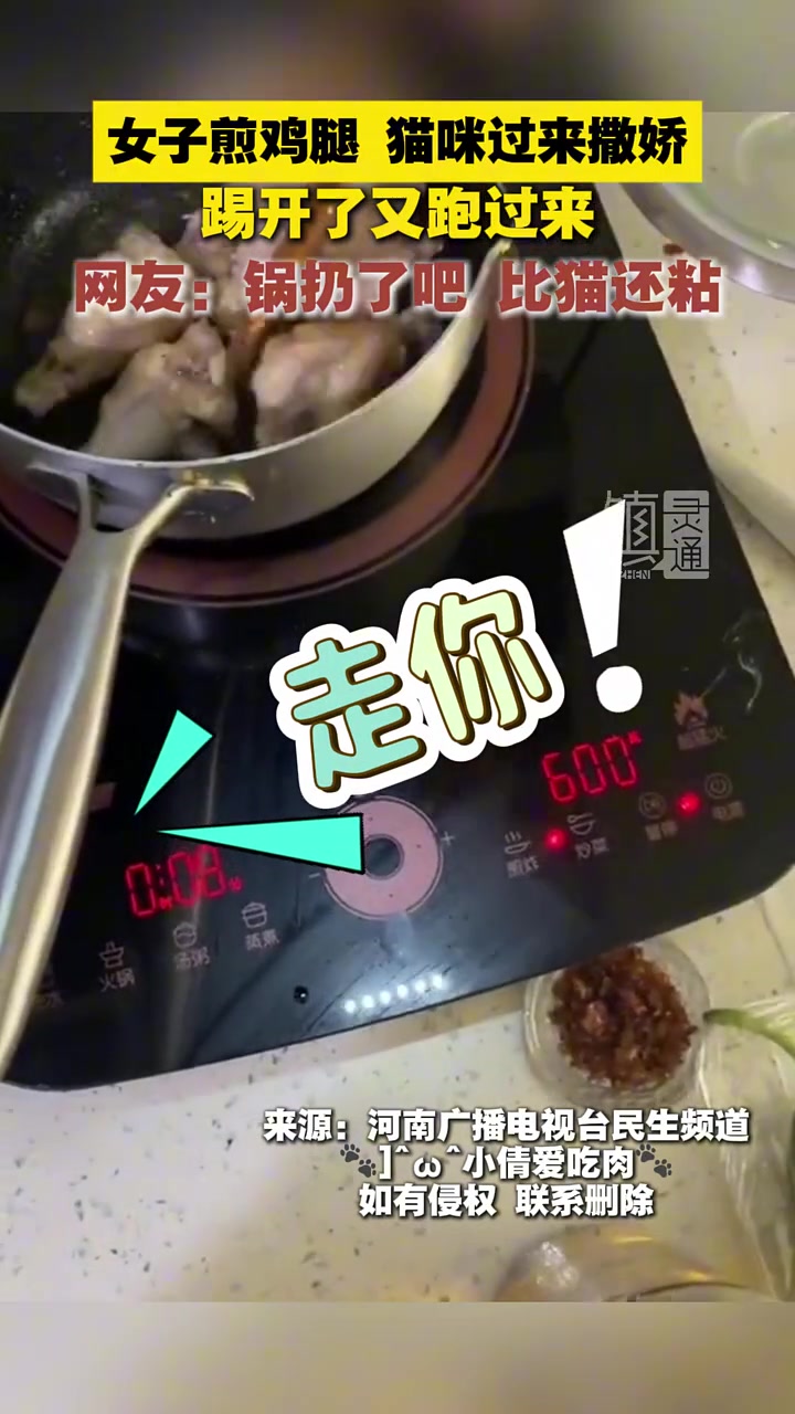 女子煎鸡腿猫咪过来撒娇踢开了又跑过来