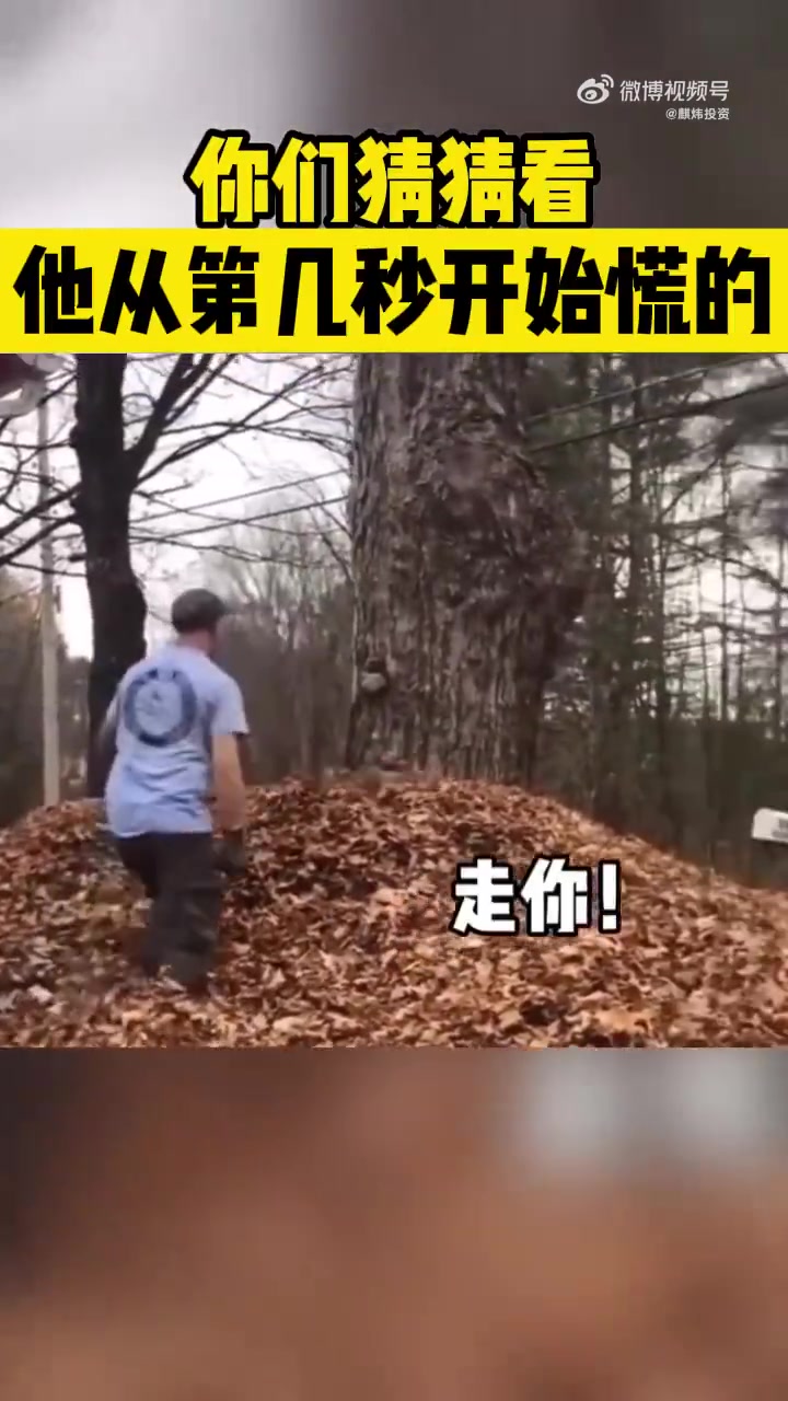 你们猜猜看，他从第几秒开始慌的！！