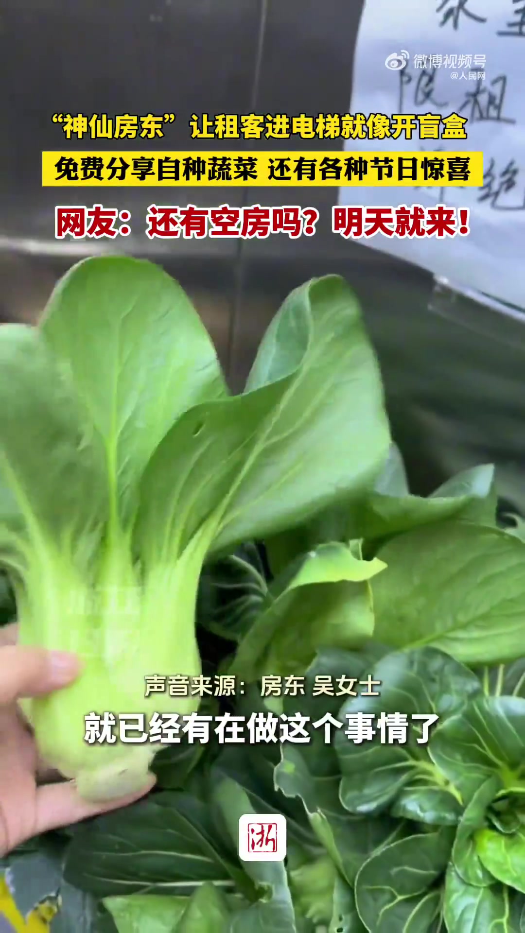 一房东在电梯里和租客们分享自家种的蔬菜还会准备小惊喜给租客