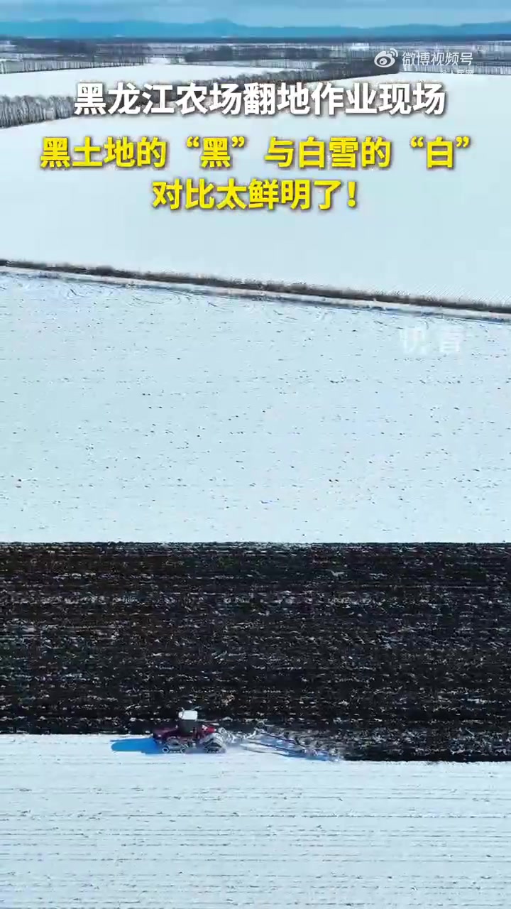 农场翻地作业现场，黑土和白雪形成鲜明对比，场面十分壮观