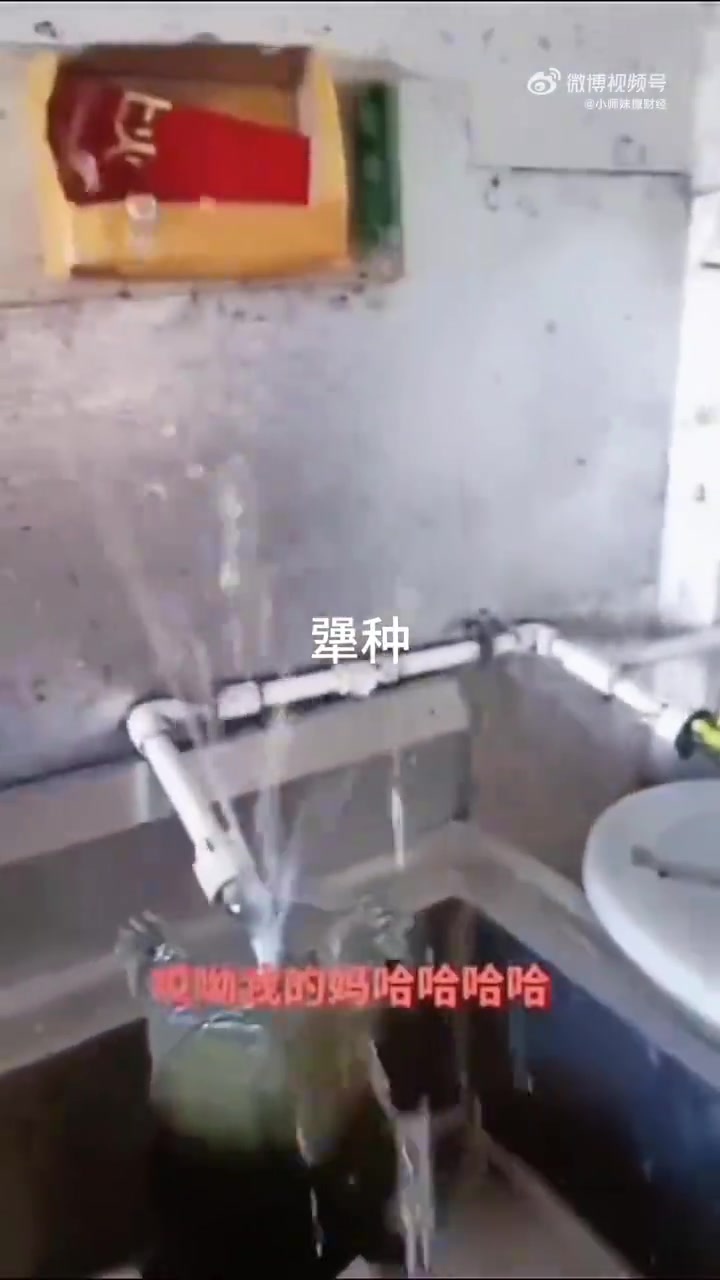 它为何不松口呢