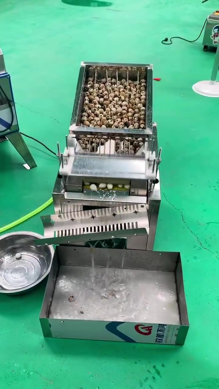 鹌鹑蛋剥皮机
