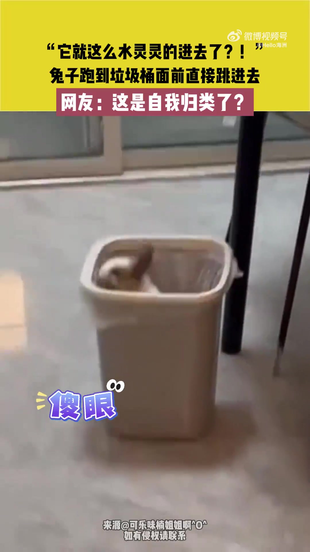 “它就这么水灵灵的进去了！