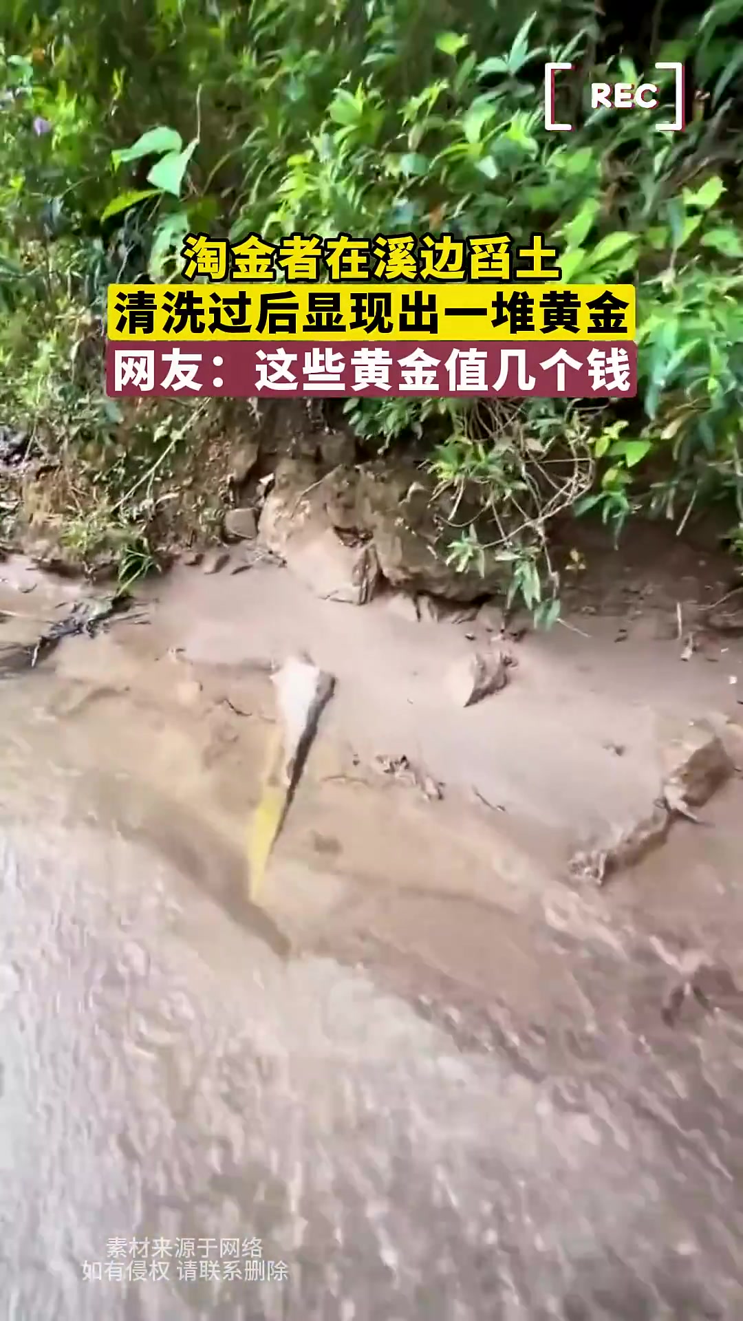 淘金者在溪边舀土，清洗过后显现出一堆黄金！