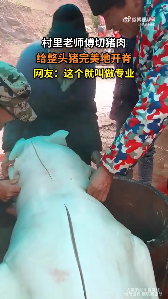 村里老师傅切猪肉，整头猪完美开脊，网友：这就叫专业