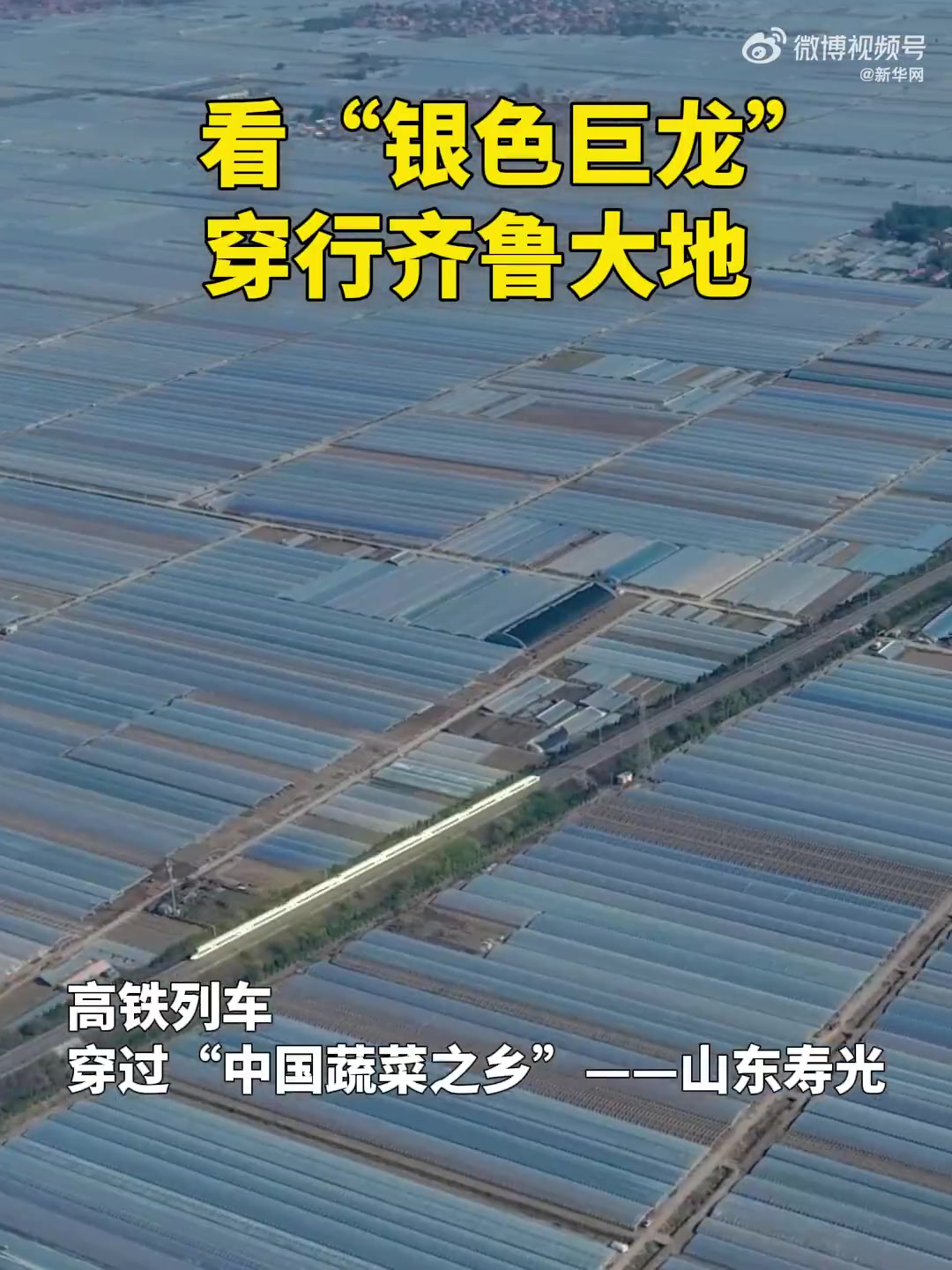 山东寿光高铁列车穿过蔬菜大棚，飞驰而过好似银龙过海