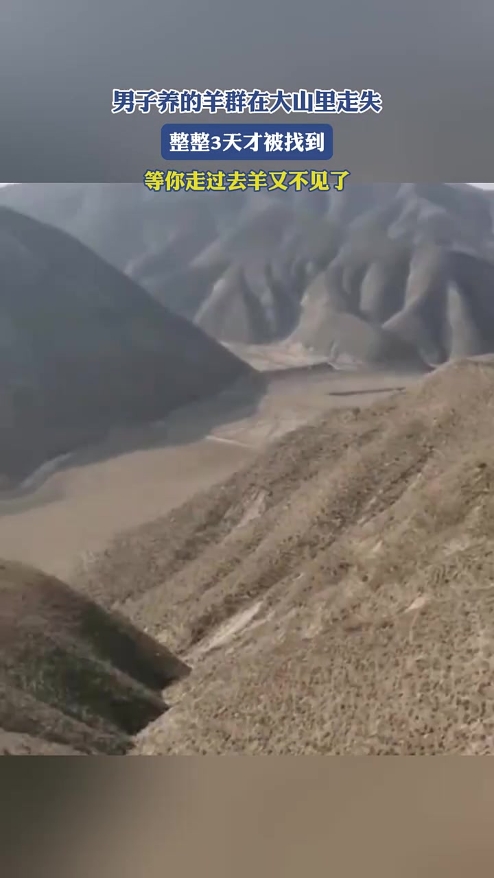 等你走过去羊又不见了