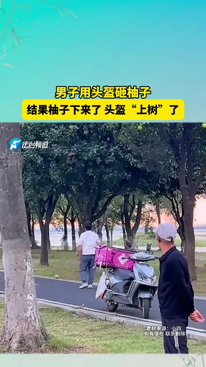 男子用头盔砸柚子，结果柚子下来了头盔“上树”了