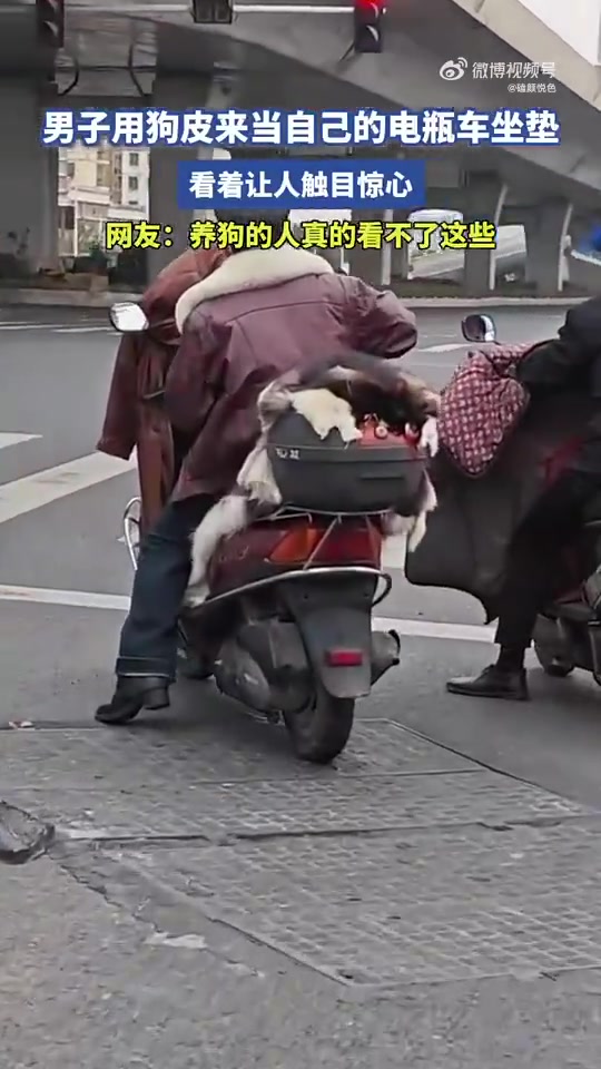 触目惊心！这么大狗皮，狗狗生前多遭罪