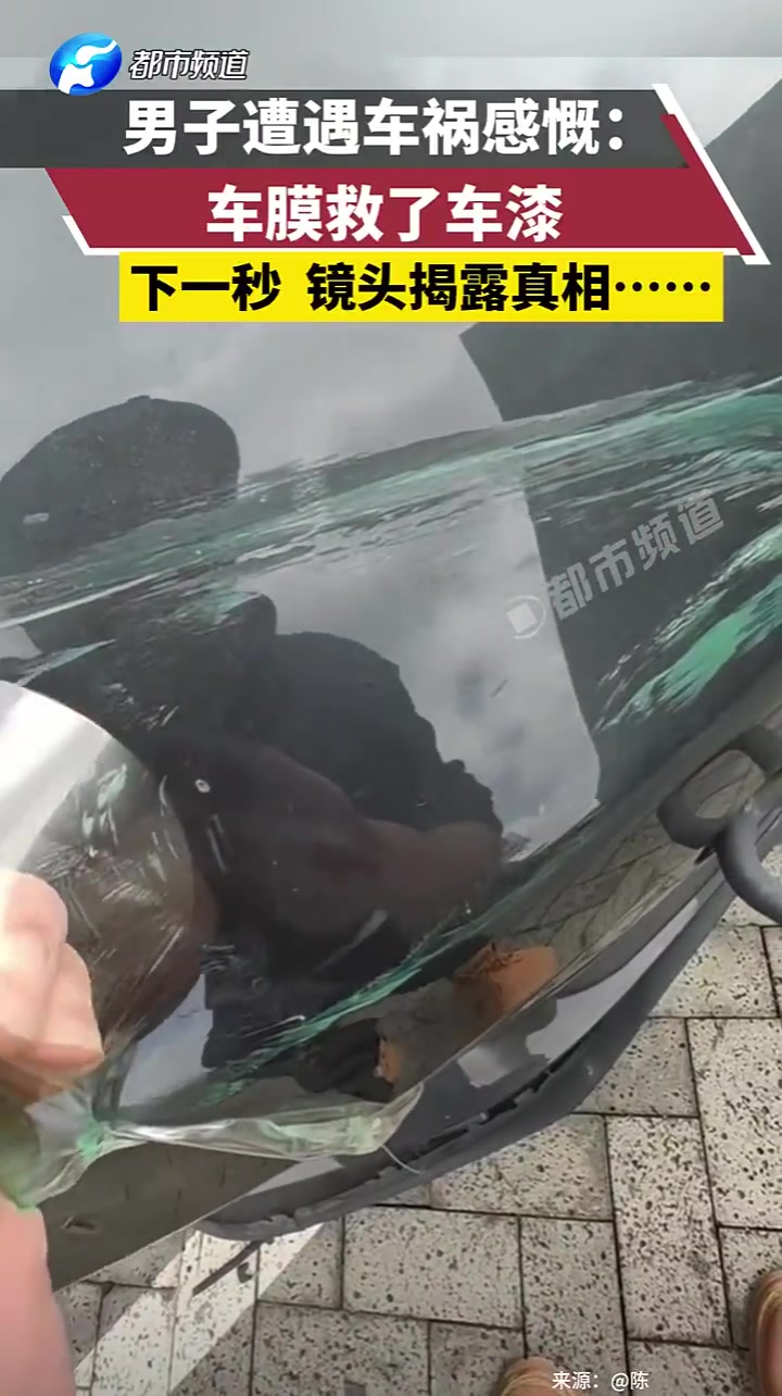 男子遇车祸称车膜救车漆，下秒镜头揭露真相