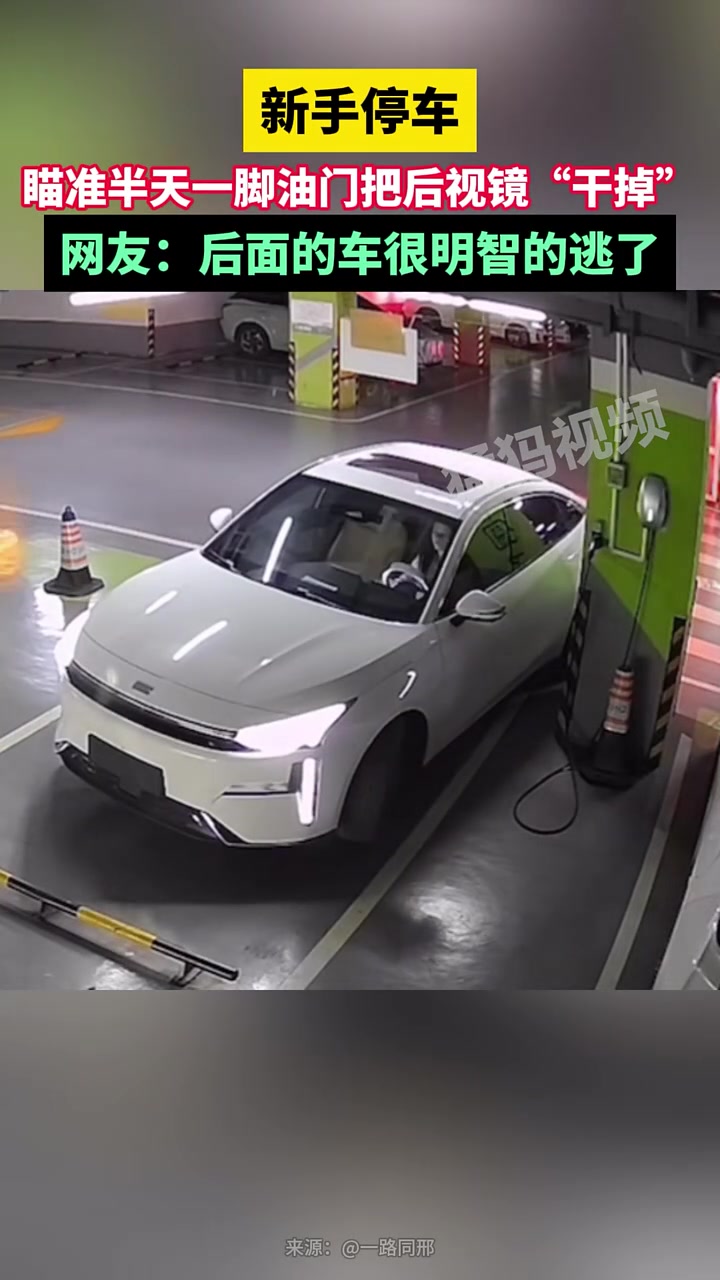 新手停车，瞄准半天一脚油门把后视镜“干掉”