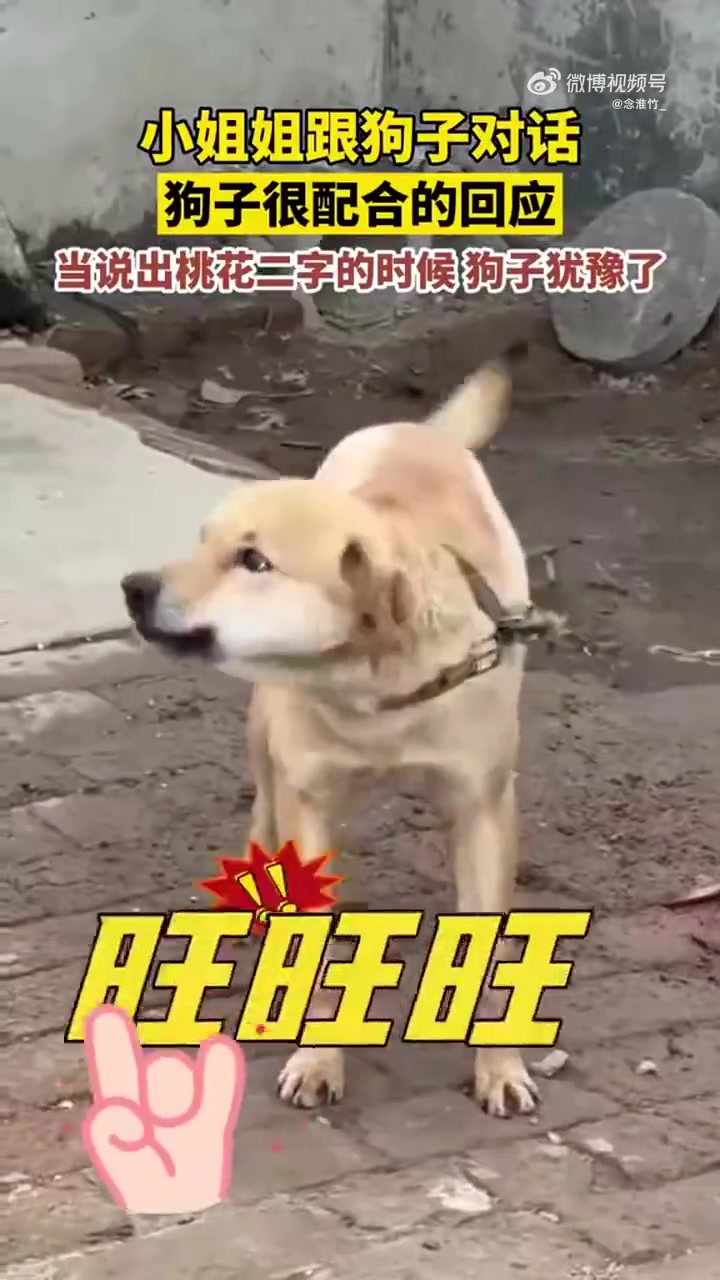 你今天笑了吗