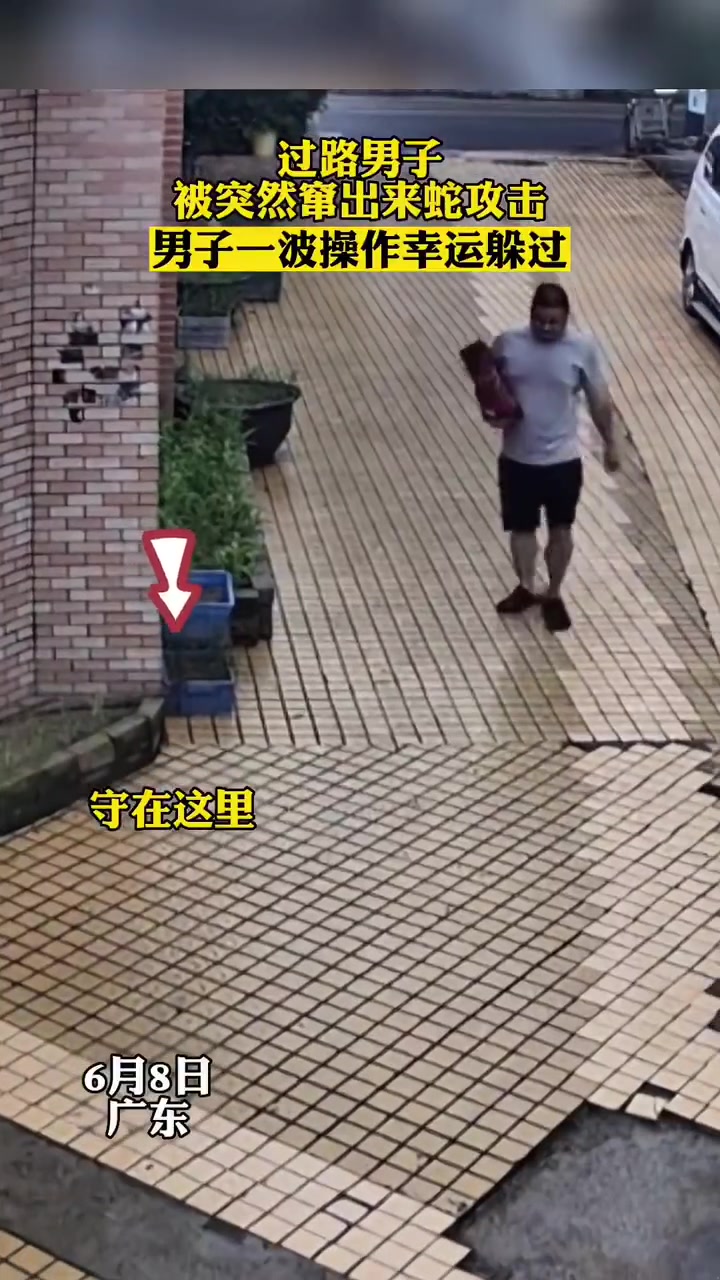 过路男子突然被蛇跳出来攻击，男子一波操作幸运躲过！