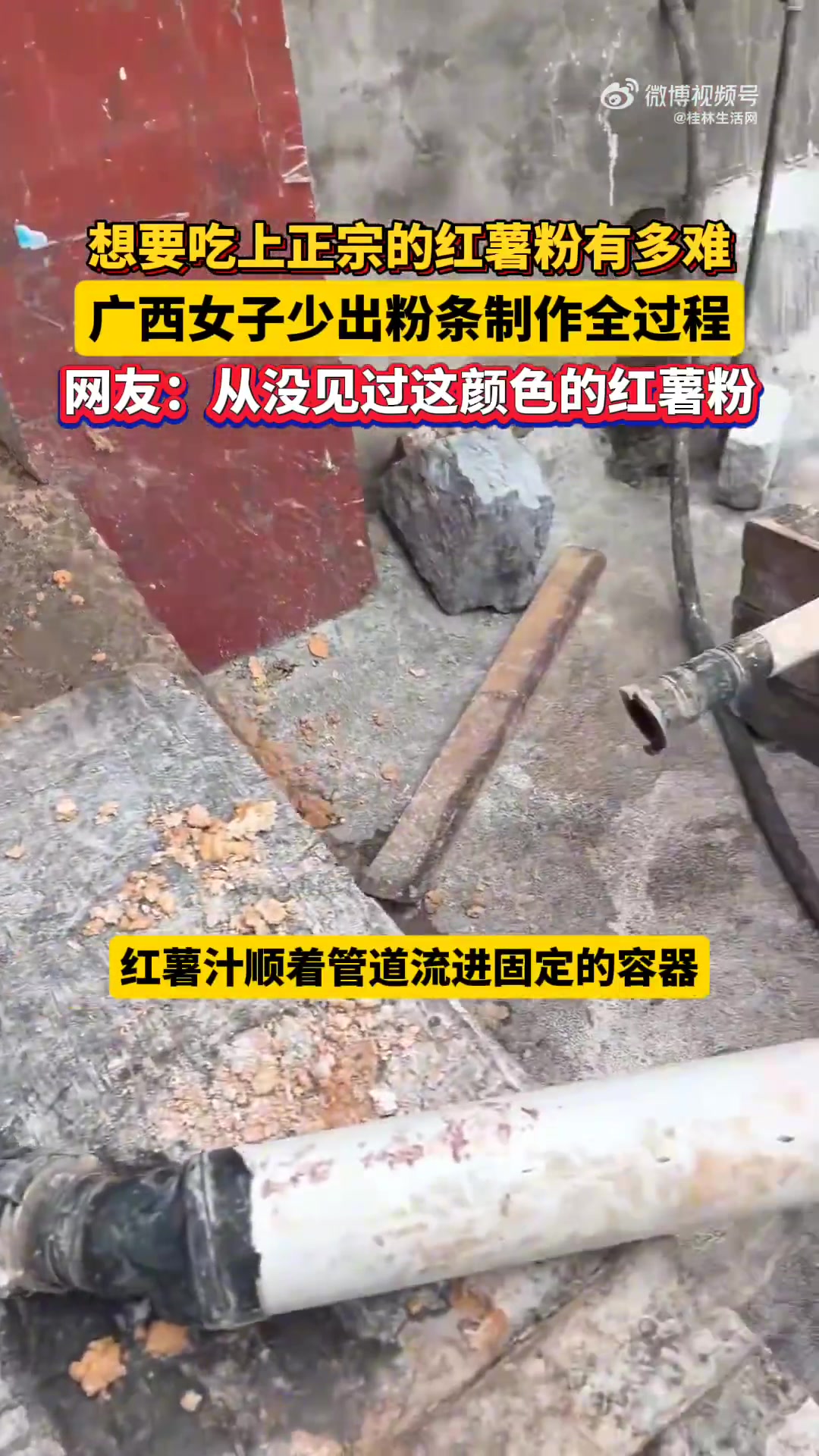 想吃上正宗的红薯粉有多难