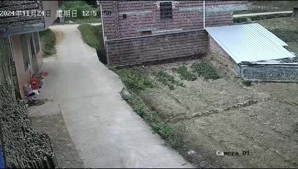 看孩子的反应应该不是第一次了！