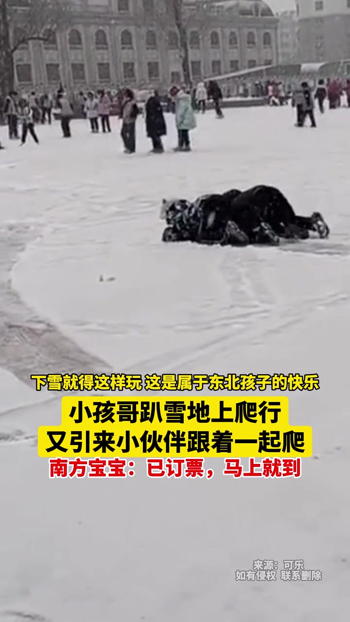 这是属于东北孩子的快乐，小孩哥趴雪地上爬行