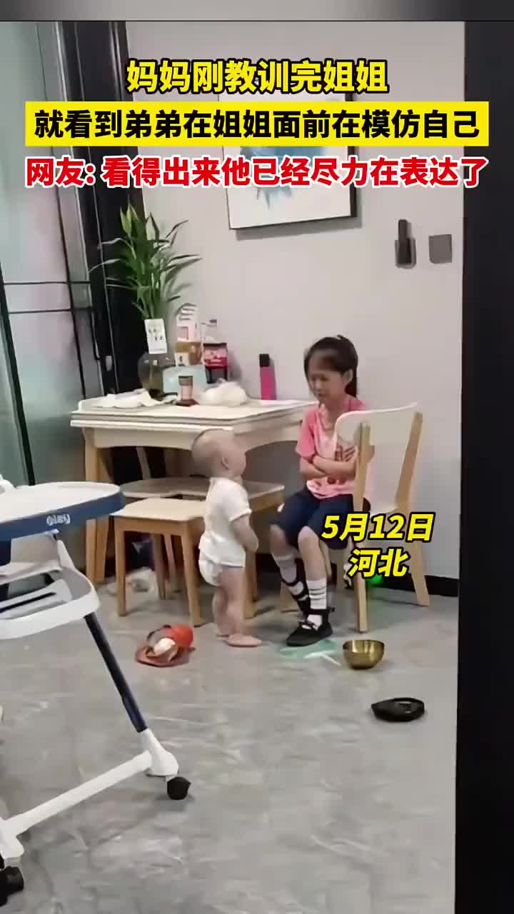 小家伙勇气可嘉啊，不怕挨打吗！