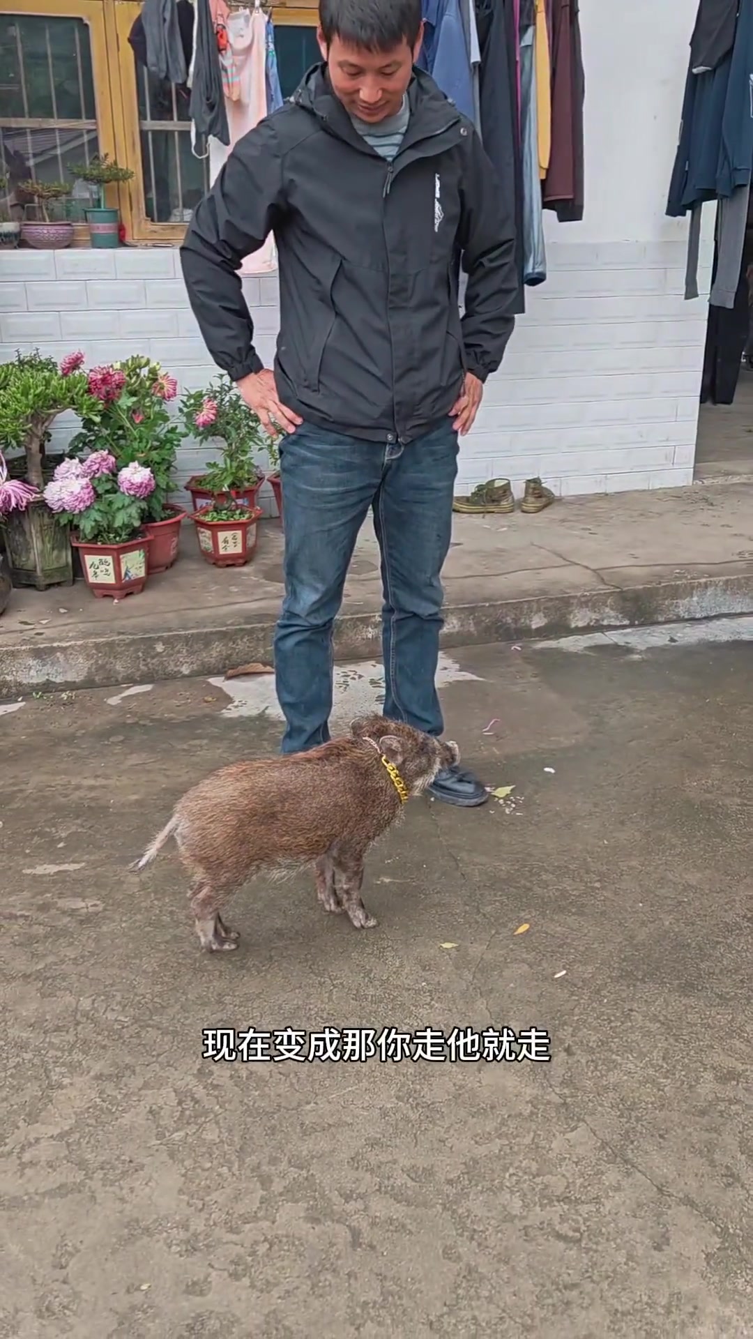 弟弟的小尾巴跟屁虫宝宝本村最靓的崽崽！