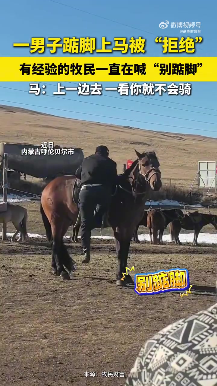 男子踮脚上马被马“拒”，牧民喊别踮脚！