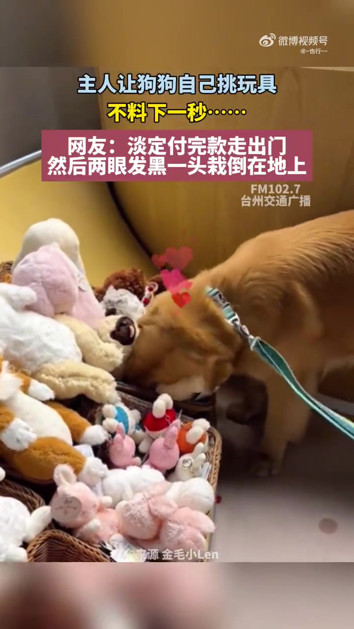主人让狗狗挑玩具，结果价格315元引热议！