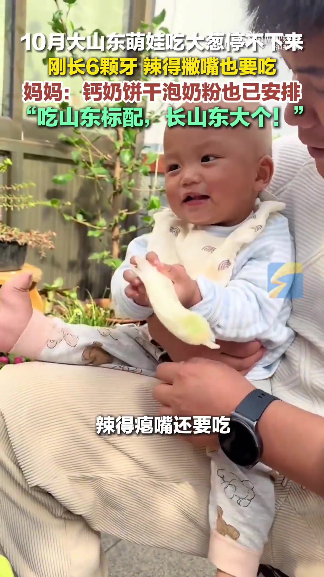 10月大萌娃山东人基因觉醒，吃大葱停不下来！