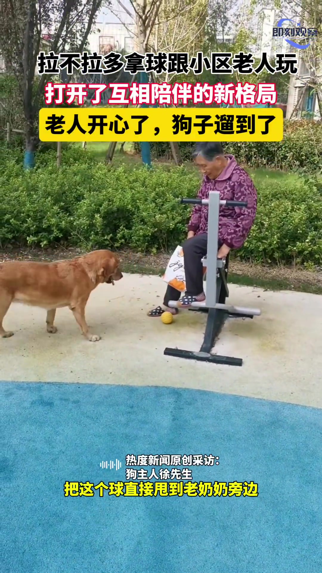 狗狗叼着球主动找老人玩