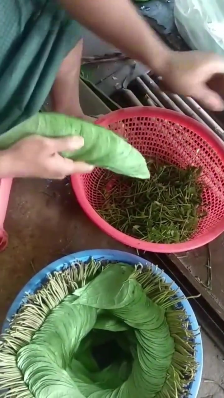 不看地上放的叶子，看手上的以为是什么菜
