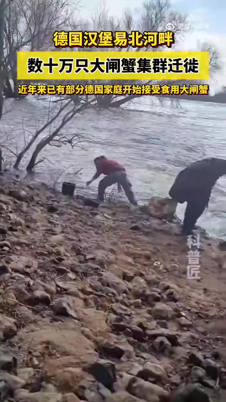 高端的食材，往往只需要朴素的烹饪方式