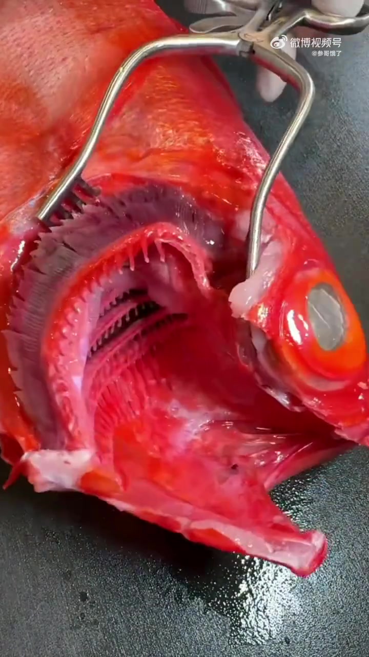 金目鲷制作过程