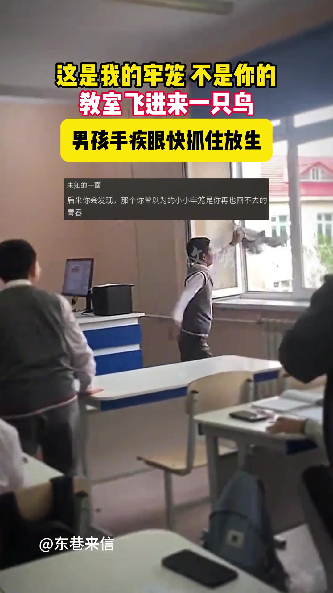 小孩哥：替我自由！！