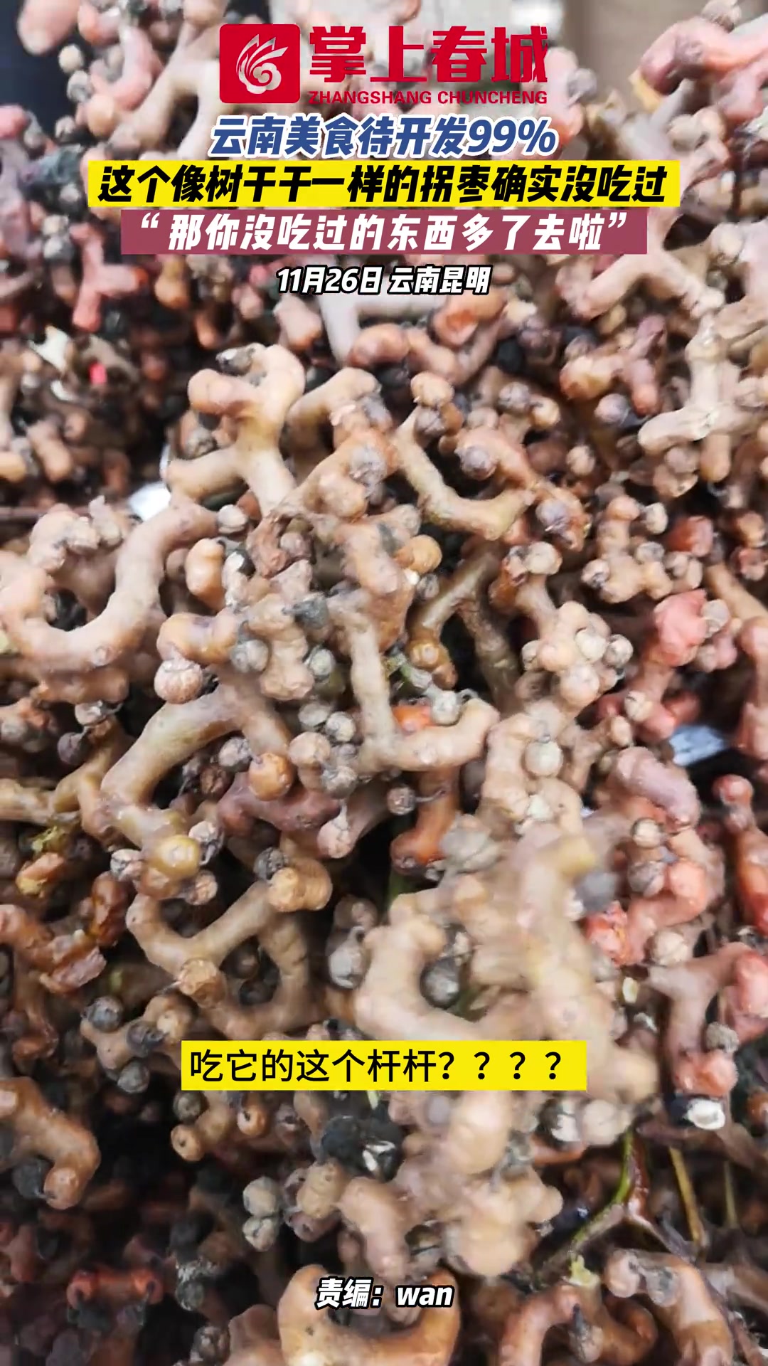 云南美食待开发99%%！这个像树干干一样的拐枣确实没吃过