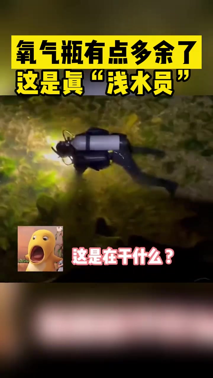 氧气瓶有点多余了这是真“浅水员”！