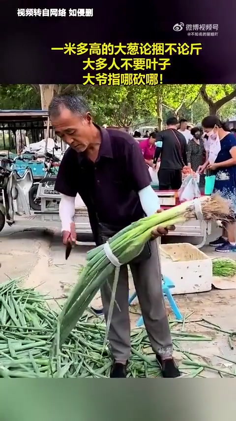 这叶子炒点儿腊肉绝对很下饭啊！