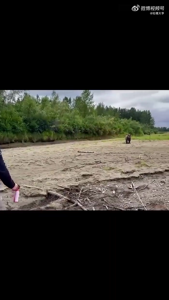 喷的啥玩意大熊都吓跑了