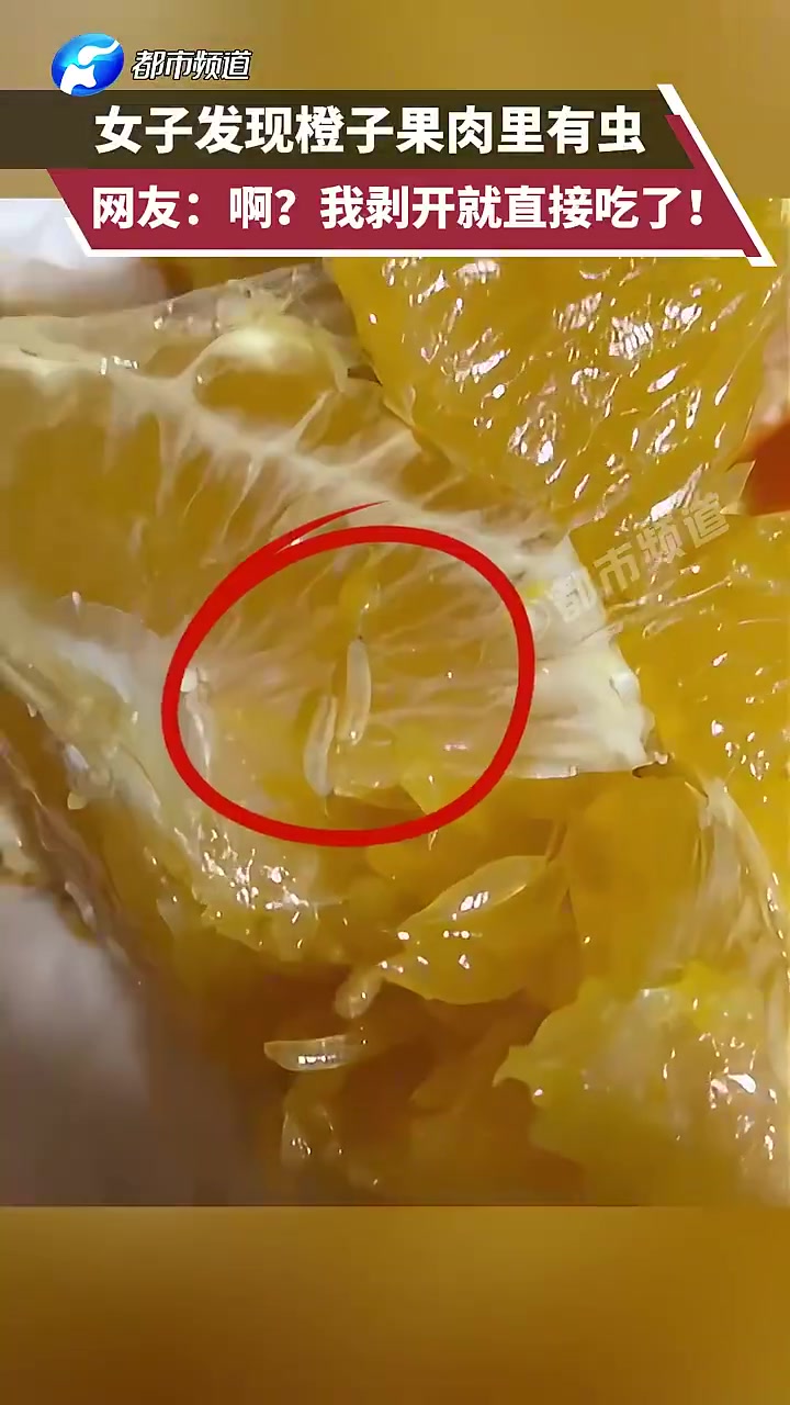 女子发现橙子果肉里有虫，网友：啊我都直接炫！