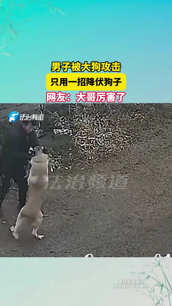 男子被大狗攻击，只用一招降伏狗子！
