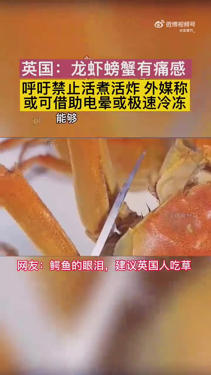 英：螃蟹等动物有痛感，活煮活炸应禁，电晕或速冻替代，有必要吗