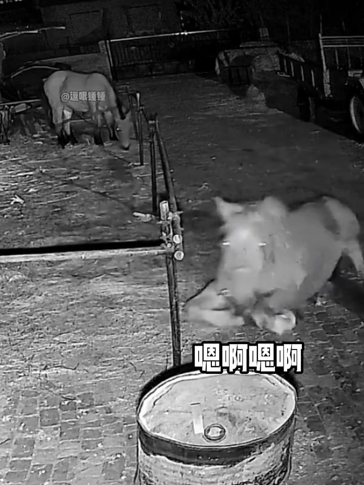 马：差点把铁饭碗睡没了