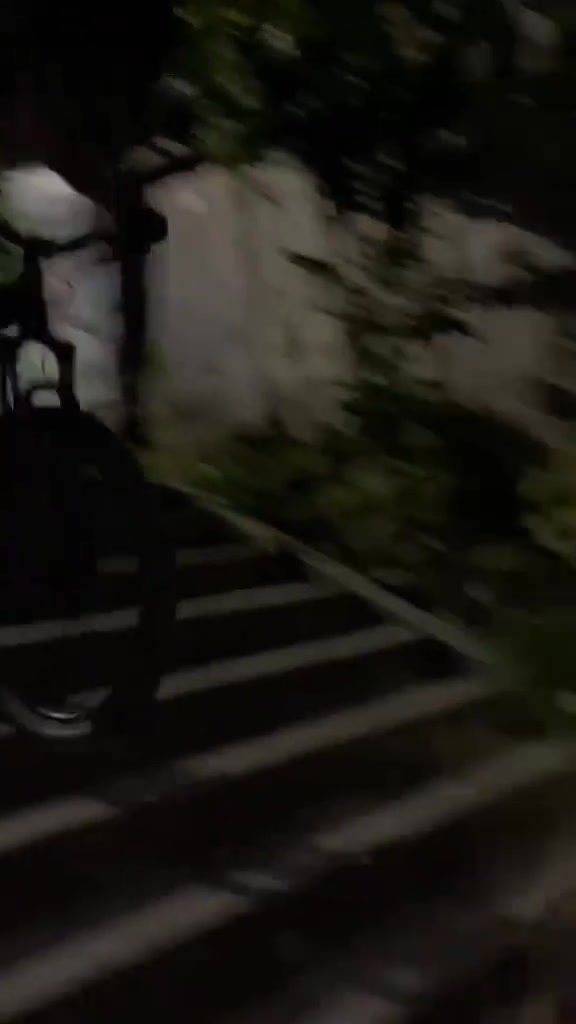 笑死狗命要紧