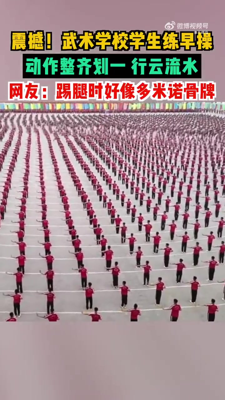 武术学校学生练早操动作整齐划一行云流水！